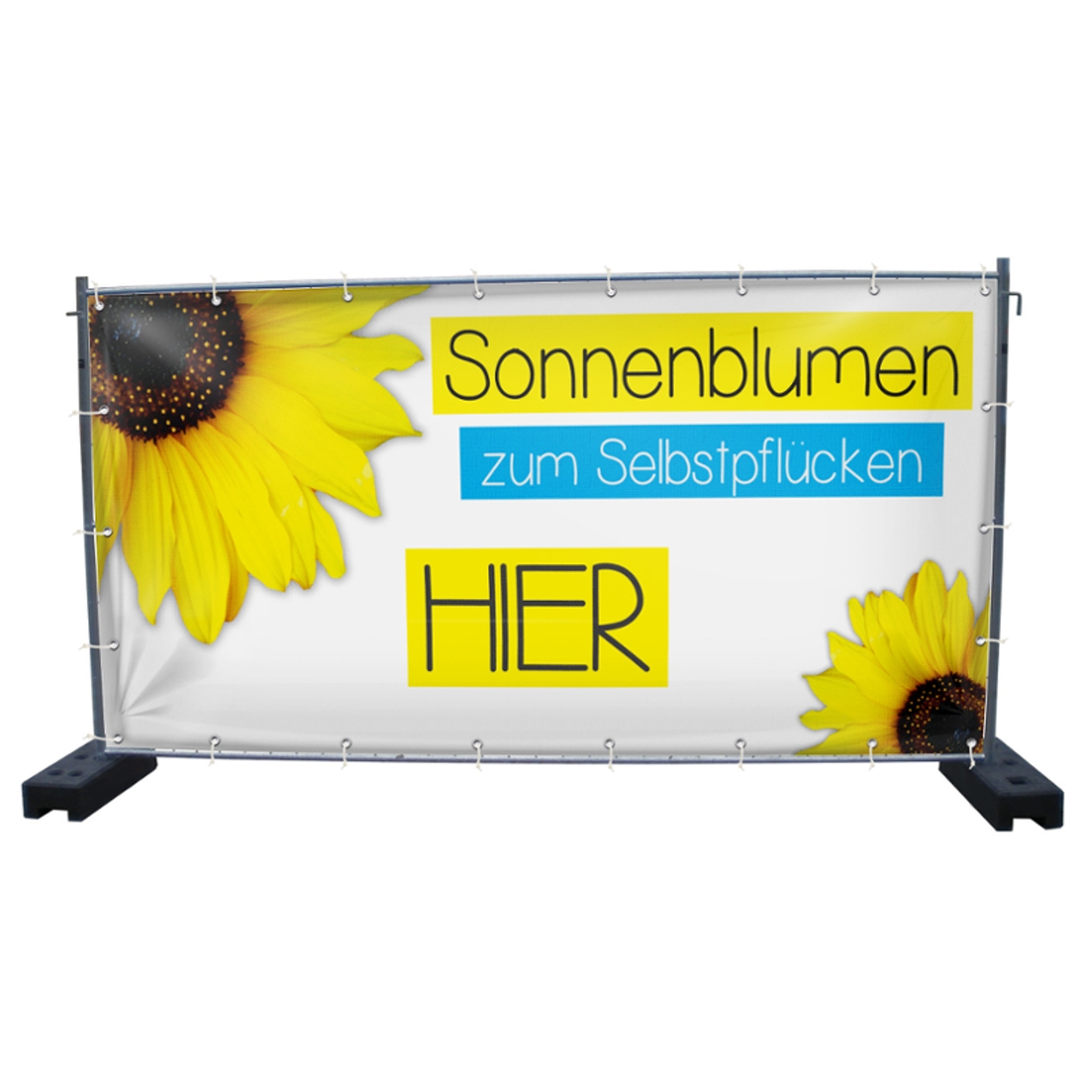 340 x 173 cm | Sonnenblumen Bauzaunbanner (1645)