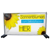 340 x 173 cm | Sonnenblumen Bauzaunbanner (1645)