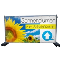 340 x 173 cm | Sonnenblumen Bauzaunbanner (1644)