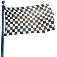 Zielflagge Hissflagge, Fahne im Wunschformat (2206)