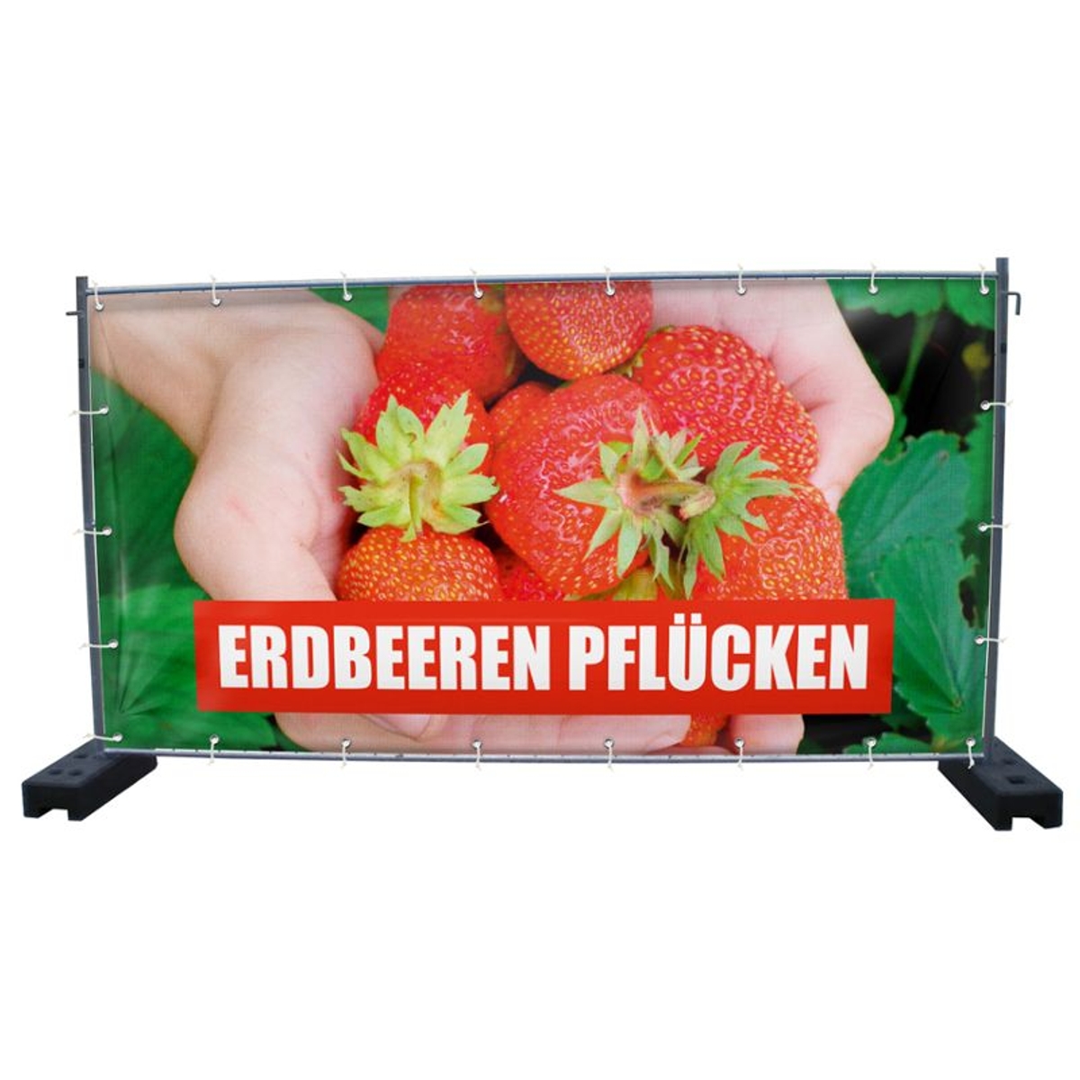 340 x 173 cm | Erdbeeren pflücken Bauzaunbanner (1931)