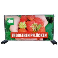 340 x 173 cm | Erdbeeren Bauzaunbanner (1931)