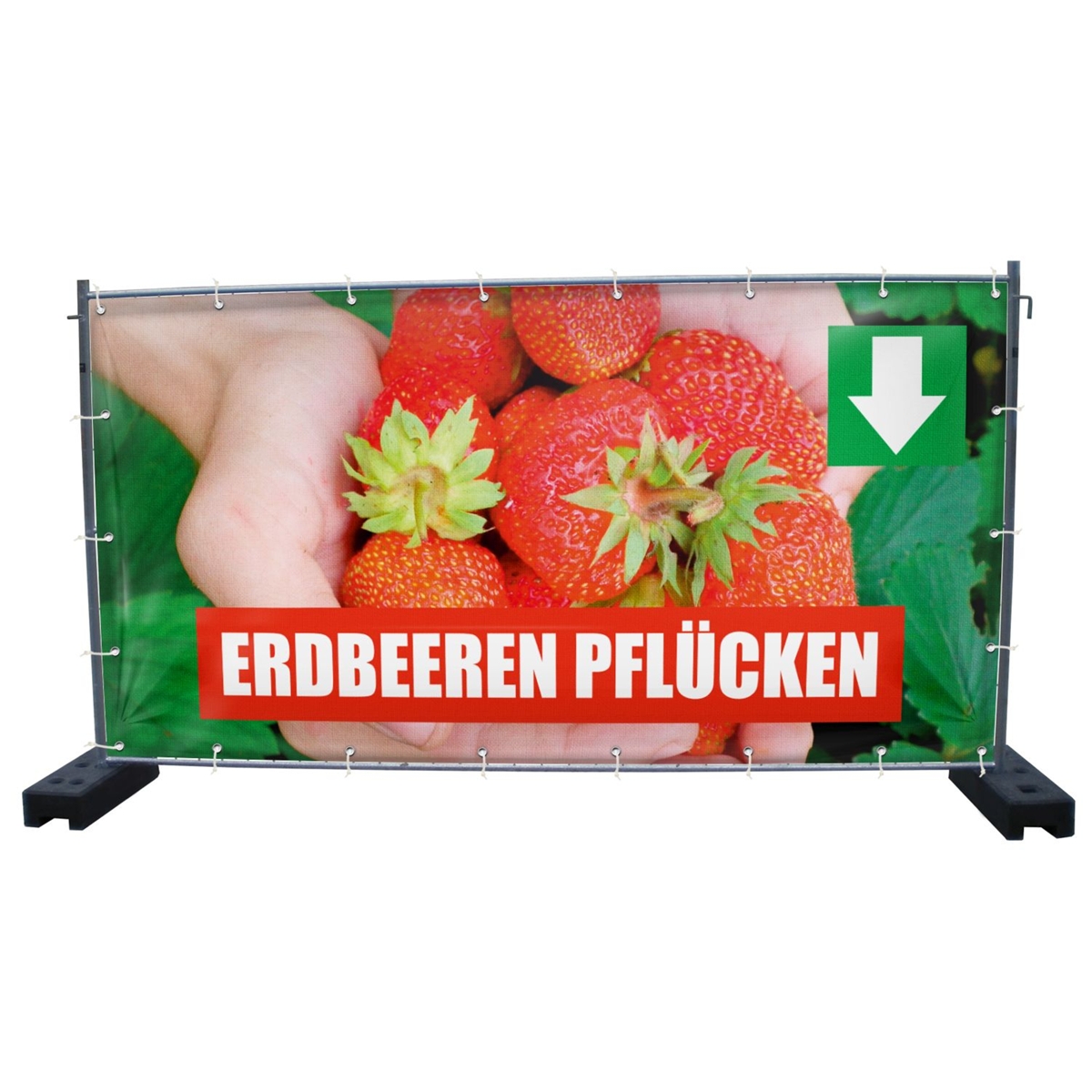 340 x 173 cm | Erdbeeren pflücken Bauzaunbanner (1931)