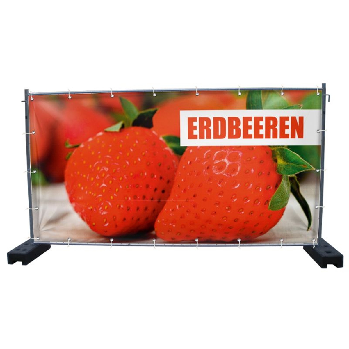 340 x 173 cm | Erdbeeren Bauzaunbanner (1933)