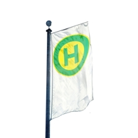 Haltestelle Hissflagge, Fahne im Wunschformat