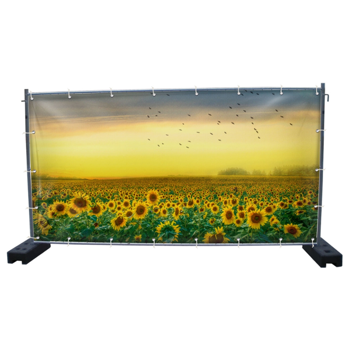 340 x 173 cm | Sonnenblumen Bauzaunbanner (3231)