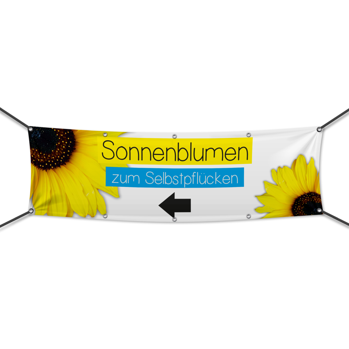 Sonnenblumen Werbebanner, Banner in 6 Größen (1645)
