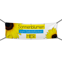 Sonnenblumen Werbebanner, Banner in 6 Größen (1645)