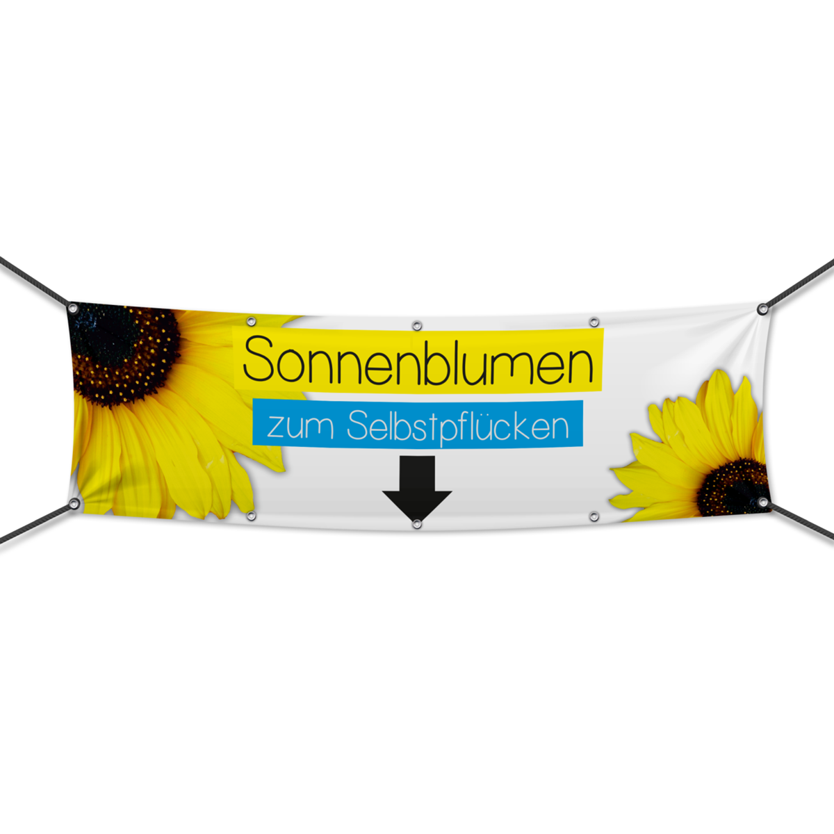 Sonnenblumen Werbebanner, Banner in 6 Größen (1645)